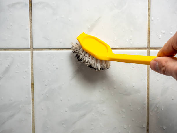 Best Local Mold Removal Service  in Lakehills, TX