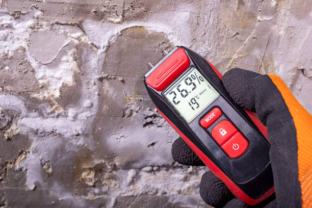 Best Affordable Mold Removal  in Lakehills, TX