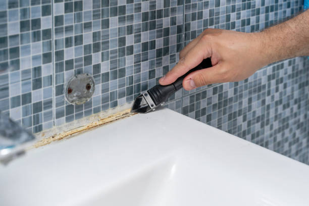 Best Best Mold Removal Companies  in Lakehills, TX