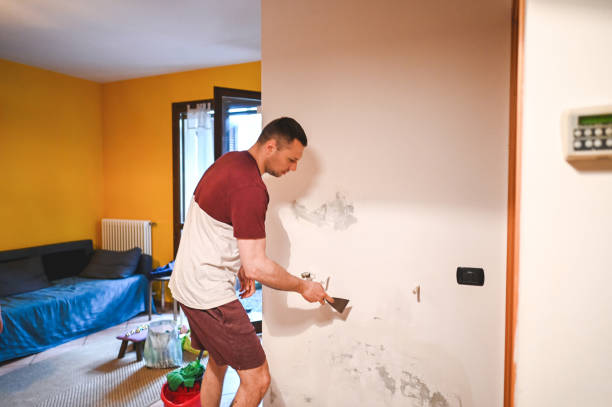 Attic Mold Removal in Lakehills, TX